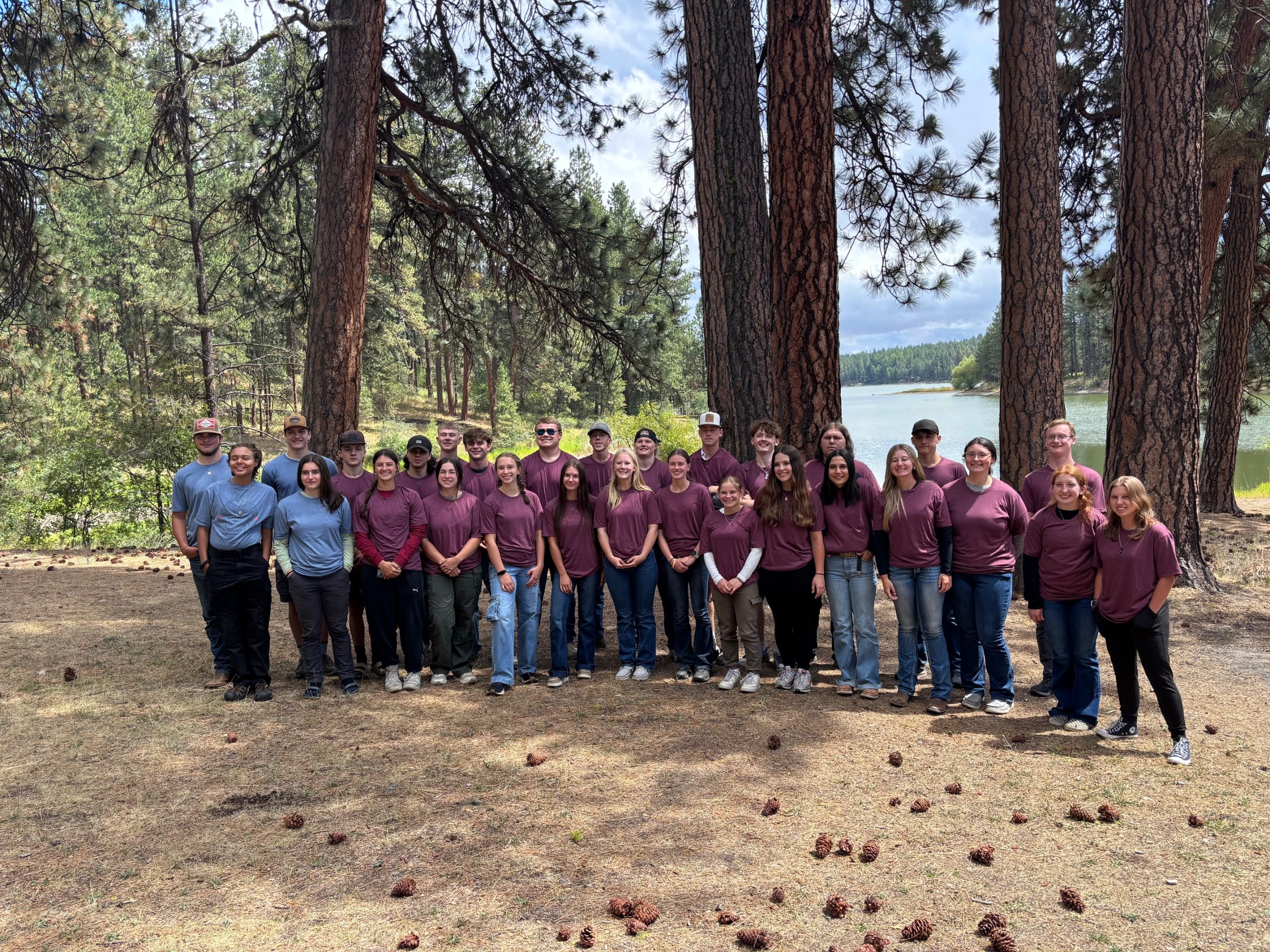 Youth in Action with CEDA’s Workforce Development Program