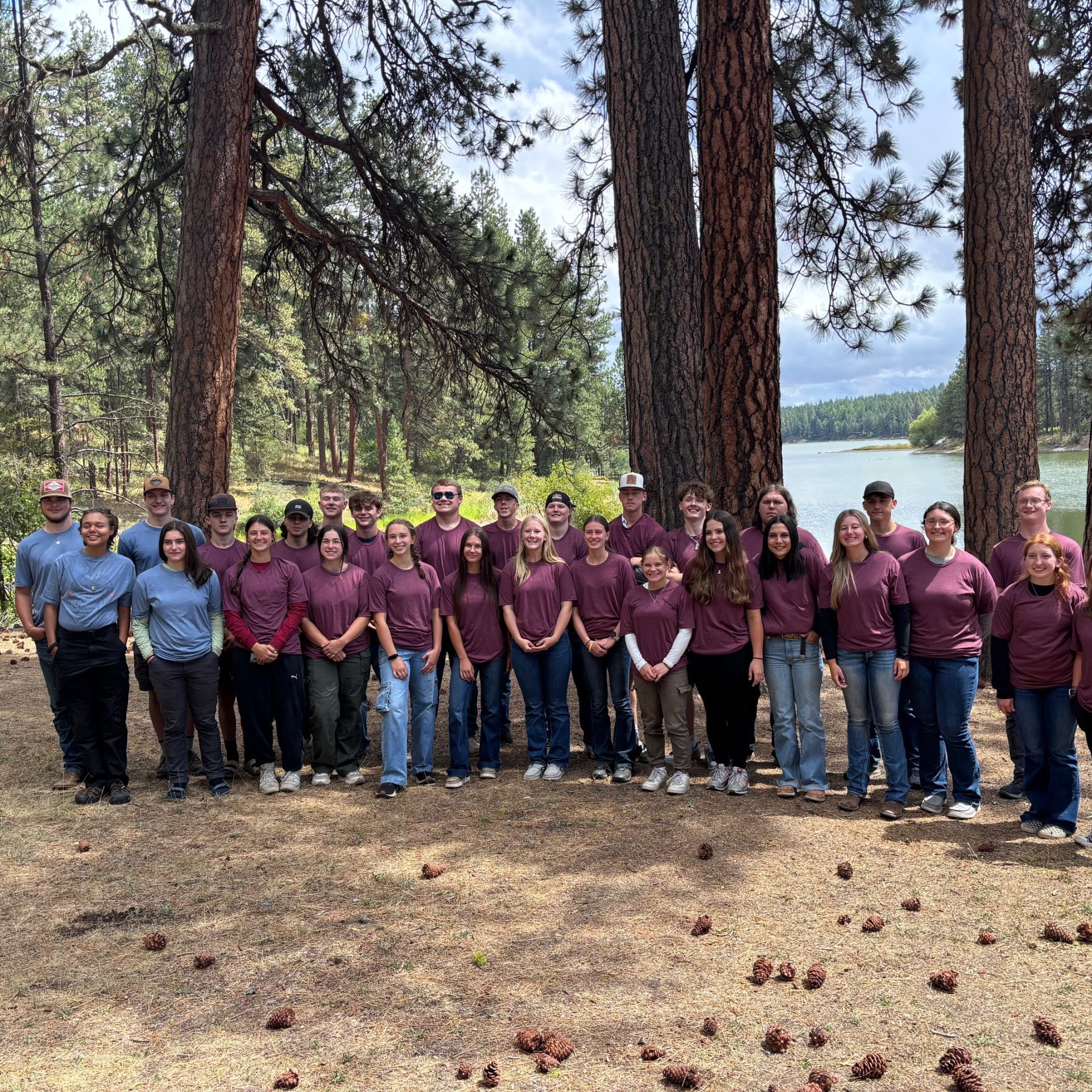 Youth in Action with CEDA’s Workforce Development Program